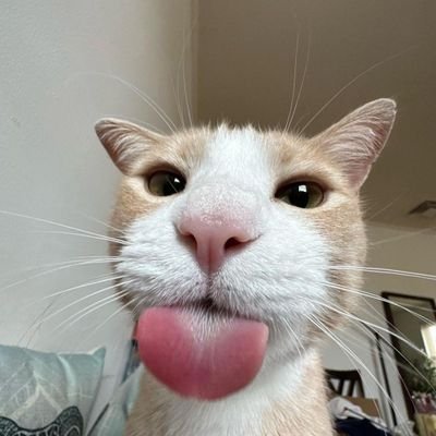 __Anshuldive's profile picture. ⚔️🐉