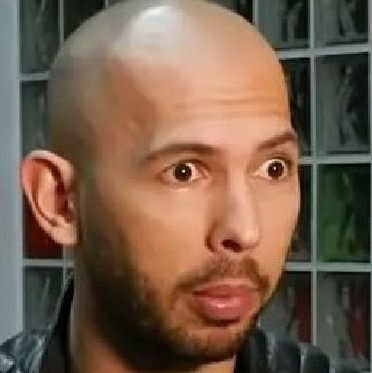 authenticBarb19's profile picture. Im just here to talk shit and be gay