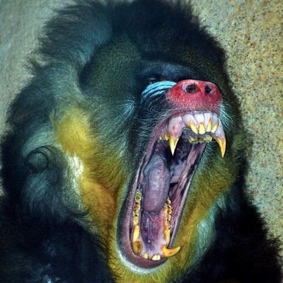 inteking1878545's profile picture. 