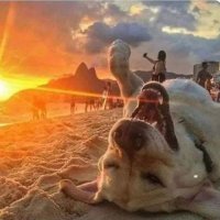π
π
π
π
π
π
‘π
π
¨ π
’π
¦π
π
(@swanmccord) 's Twitter Profile