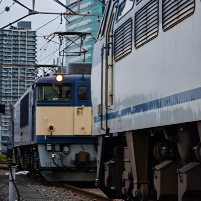 EF_6456's profile picture. ほにょほにょ🌸