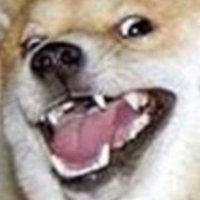 Borkey (@borkey_) 's Twitter Profile Photo Borkey (@borkey_) 's Twitter Profile Photo