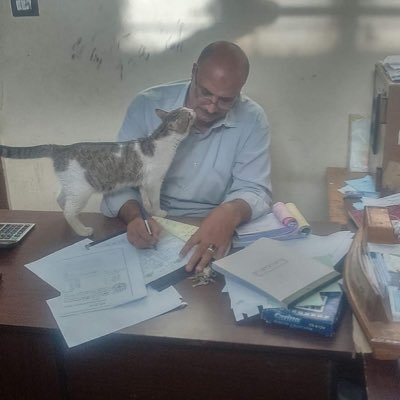 alb_aslan999's profile picture. islamoptimiste