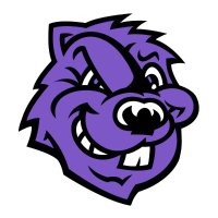 CCNY Athletics (@ccnysports) 's Twitter Profile