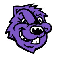 CCNY Athletics(@CCNYSports) 's Twitter Profile Photo