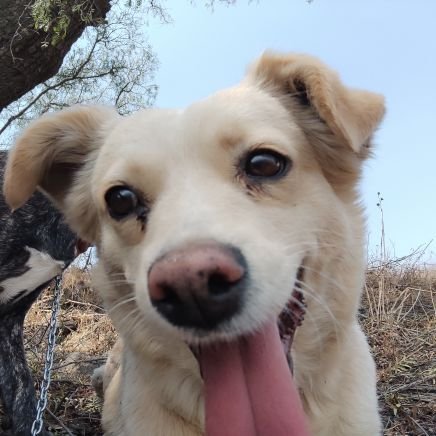 FelipeH49394558's profile picture. 