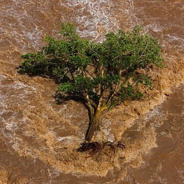 ThapcamDangNang's profile picture. Phóng khoán - Cởi mở - Đầu tư mạo hiểm :)