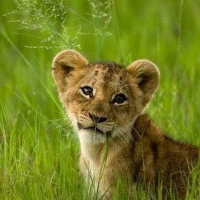 DanielHern23357's profile picture. 