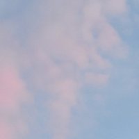 octoberflower k (@fallflowerk) 's Twitter Profile