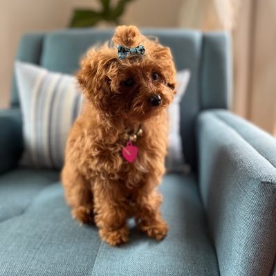 Susanne_wv's profile picture. 