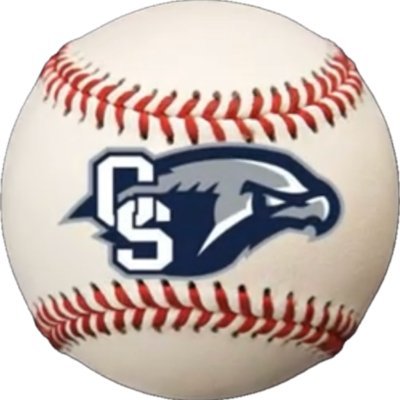 FalconsCSHS Profile Picture