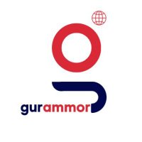 GurAmmor Inc(@GurAmmor) 's Twitter Profile Photo