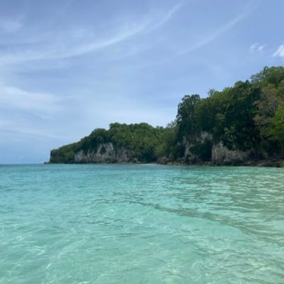 alsace971's profile picture. magistrate