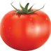 tomateto๐ (@imnotsurehow) Twitter profile photo tomateto๐ (@imnotsurehow) Twitter profile photo