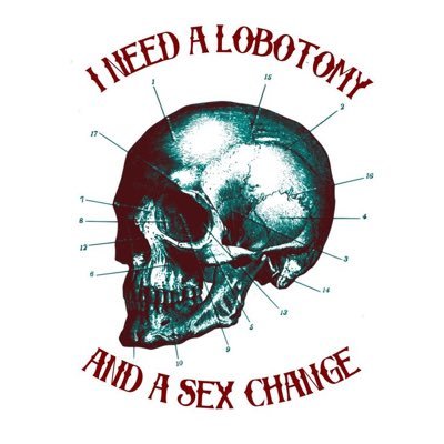 #1 long covid hater • blooming abolitionist • writer • floating somewhere between trans guy and lesbian they/he 🏳️🌈🏳️⚧️♑️😷🍉