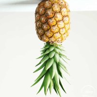 Him❤️HER69🍍 3K!! (@k87208842) 's Twitter Profile Photo Him❤️HER69🍍 3K!! (@k87208842) 's Twitter Profile Photo