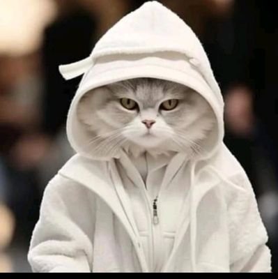 sam_uel73771's profile picture. forex pro $NFRH6MLQ