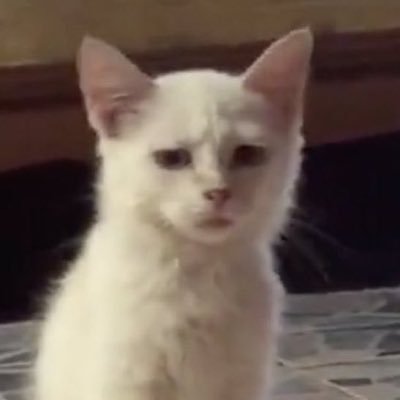 j9999101's profile picture. 