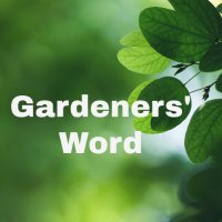 Gardeners' Word(@GardenersWord) 's Twitter Profile Photo