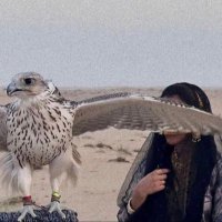 ‏ᥫ᭡ (@7f_3xi) 's Twitter Profile