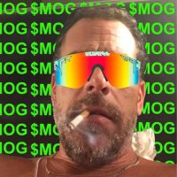 Mr Moggington 🫵😂(@TokenFundament1) 's Twitter Profile Photo