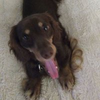 Tony Ellis (@capttony1967) 's Twitter Profile