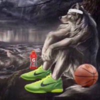 What Is Comp (@whatiscomp) 's Twitter Profile