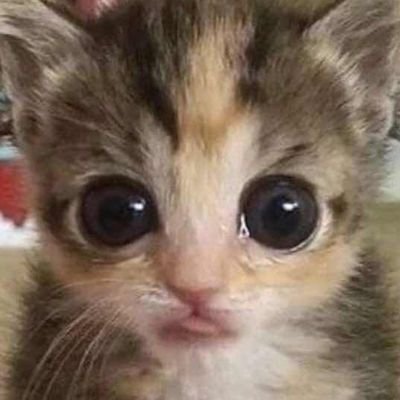 Camさんのプロフィール画像