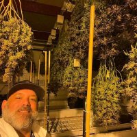 @ JeffSmith (@biggetplug420) 's Twitter Profile