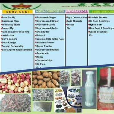 I am an Agroprenure: we are into agro commodities exports , such as ; Cocoa powder, Cocoa butter , Bitterkola , Sheabutter and other herbal materials.