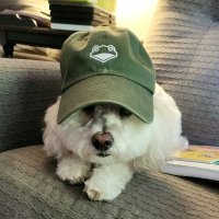 Duffy (@duffyssb) 's Twitter Profile