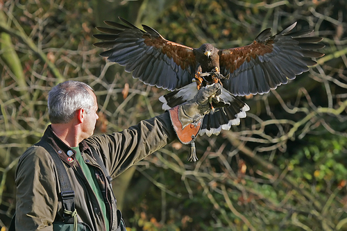 Getrouwd, 2 kids, 1 kleinkind. Hobby's; muziek luisteren, theater, roofvogels, uilen, tuinieren, zaalvoetballen/ZVOB. Ondernemer in de natuursteenbranche.