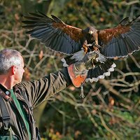 Rob de Kreek (@tammospa) 's Twitter Profile