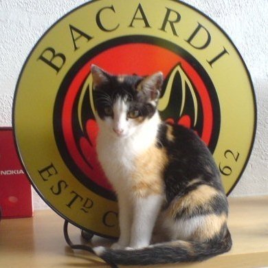 🐈 lover. Gen X. Love fishing 🎣 Team science. Mild™️ my ass. Live and let live. Fight disinformation. Radical left 😉🤭. Free Ukraine!