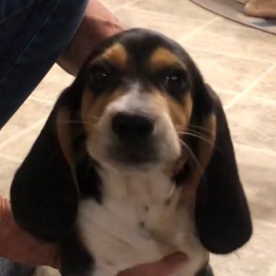 StanRogers70274's profile picture. Old man from the south