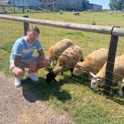 LewMartindale's profile picture. 