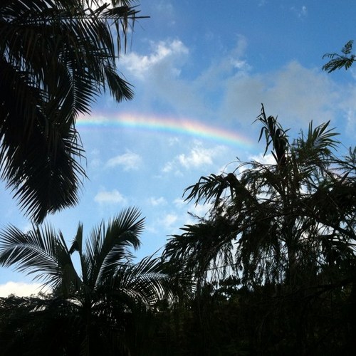 Laureline2zo's profile picture. 