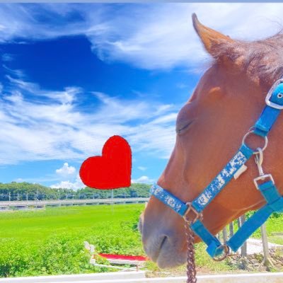 2023年10月からオーストラリア🇦🇺にワーホリに行きます!! よろしくお願いします!😆 /大学3年🙋♀️