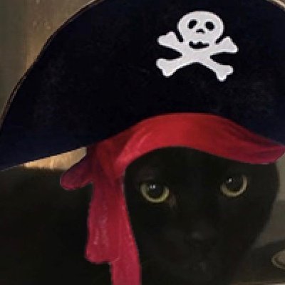 GOT ZOMBS:  Call Pazz, Niko  & Dexter  
  #ZSHQ  #ZSPirateMonth  #Zombies  #Pirates 
#CatsOfAnarchy #CatsOfTwitter
NO PORNO my girlfriend Maus does not like it