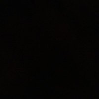 A 🇶🇦🐎. (@qpp) Twitter profile photo