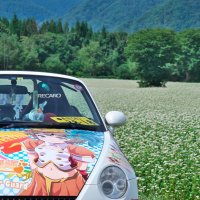 みっちー (@77mitty) 's Twitter Profile