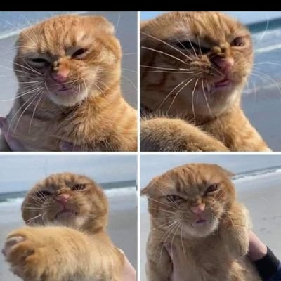 __justjude's profile picture. 