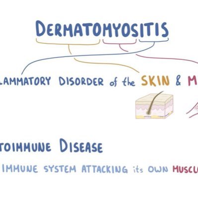 P.h.D Student | #Dermatomyositis | Research
