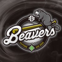 BEAVERS‖札幌草野球 (@beavers_bb_2022) Twitter profile photo