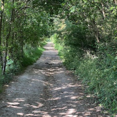 WLJ_269's profile picture. 