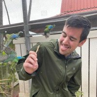 Michael Hays (@donutspree) 's Twitter Profile Photo