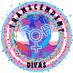 TranscendentDivas 🏳️‍⚧️🌊🏳️‍🌈 (@TSDivas4u) Twitter profile photo