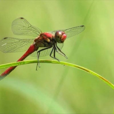 22wxD1eSlWzXzSG's profile picture. 