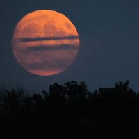 Charly Says (@mommadrinks) 's Twitter Profile Photo