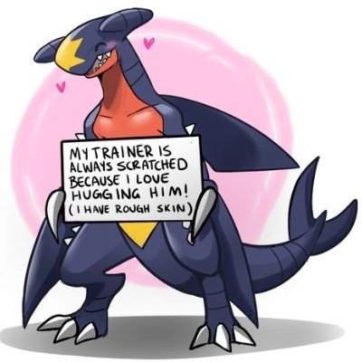 Garchomp268638's profile picture. 18/NO MINORS